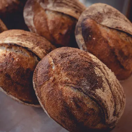 Hotel The Rex Zermatt