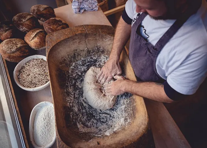 The Rex زيرمات