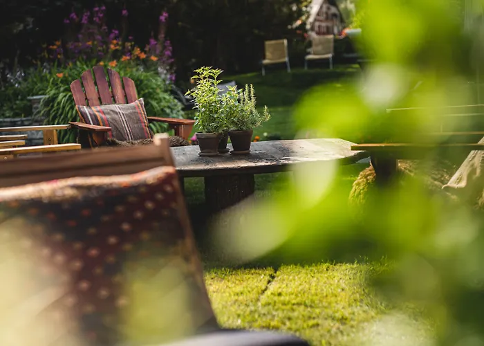 The Rex زيرمات